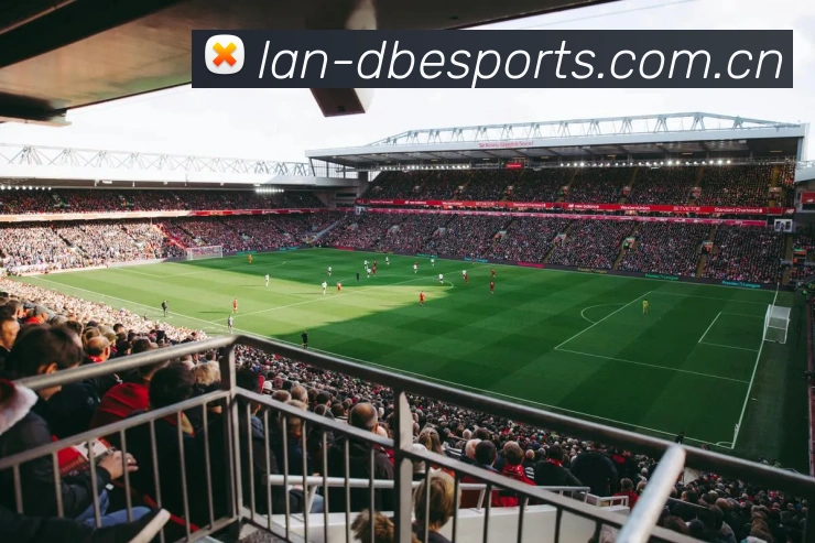 DB Esports官网平台简介
