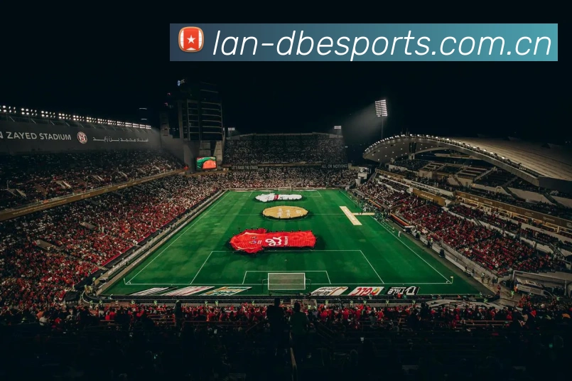 DB Esports官网 App界面